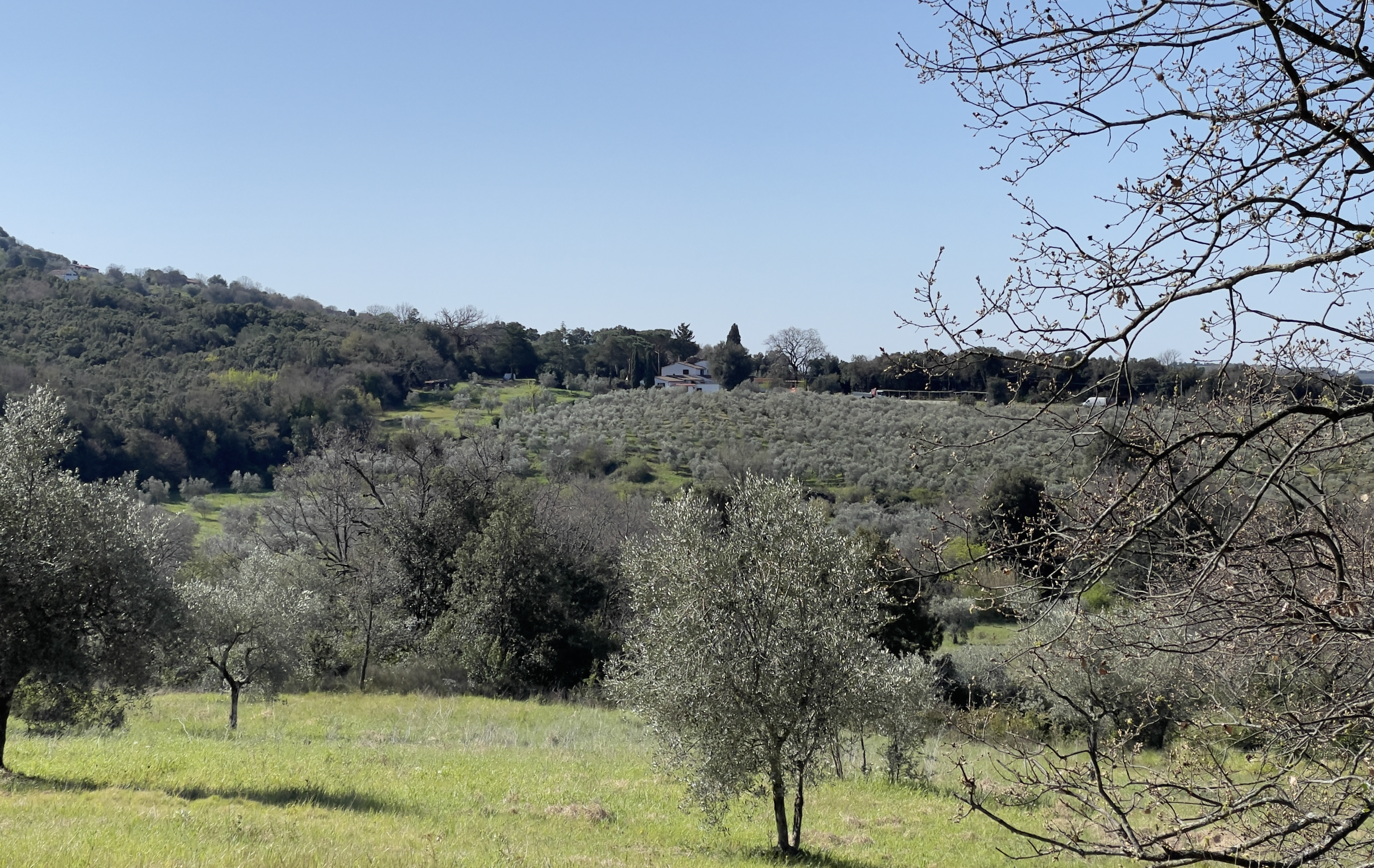 Podere Scoldasu Ansicht